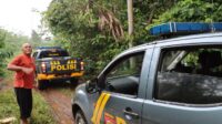 Tinjau Area Masuknya Kawanan Gajah Liar di Perkebunan Warga Semaka Ini Pesan Polres Tanggamus