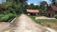 Rabat Beton Karangsari Kualitas Buruk, Diduga Kakon Mark-up Anggaran Ratusan Juta.